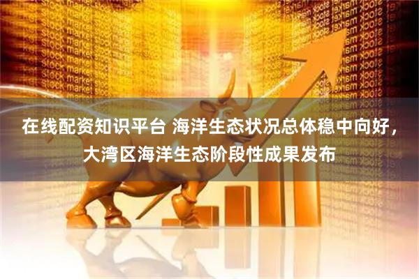 在线配资知识平台 海洋生态状况总体稳中向好，大湾区海洋生态阶段性成果发布